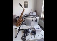 Music Saxophone SET-UP